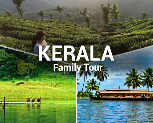 Kerala Family Tour